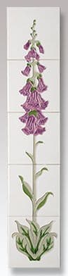 Foxglove in lilac